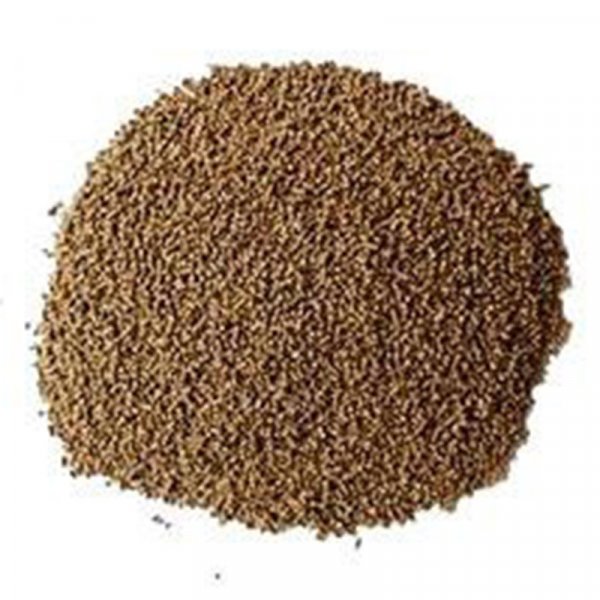 타이거 새우 사료