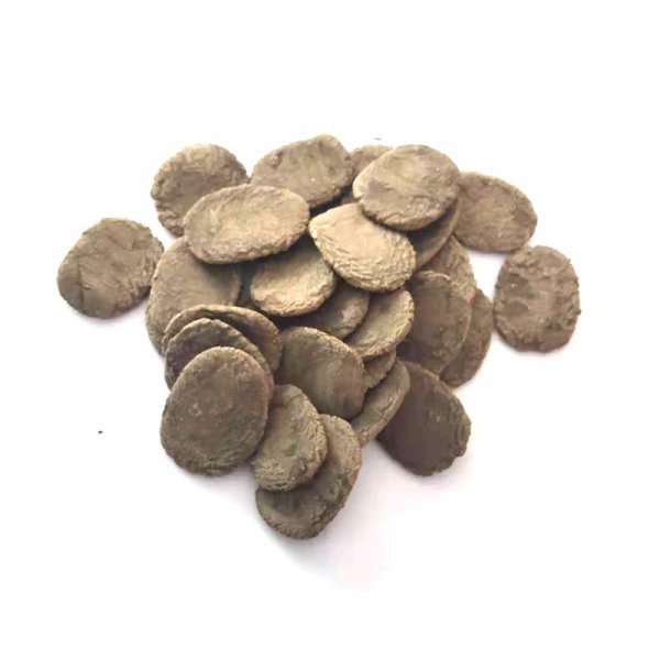 해삼 케이지용 특수 사료 플레이크