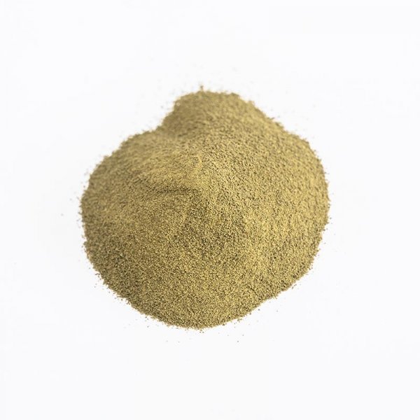 어린 전복용 복합사료