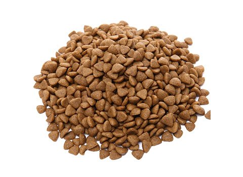 애완 동물 사료